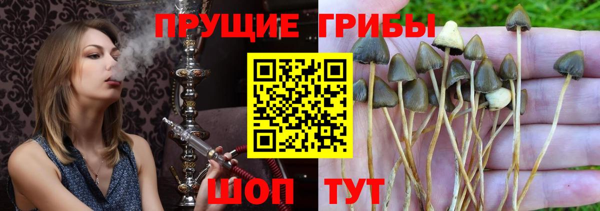 Галлюциногенные грибы ЛСД Лесосибирск