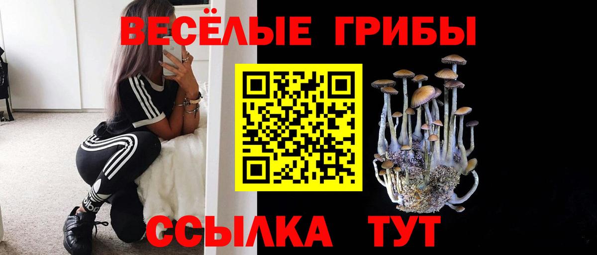 Псилоцибиновые грибы MAGIC MUSHROOMS  цены наркотик  Лесосибирск  Вход с VPN 